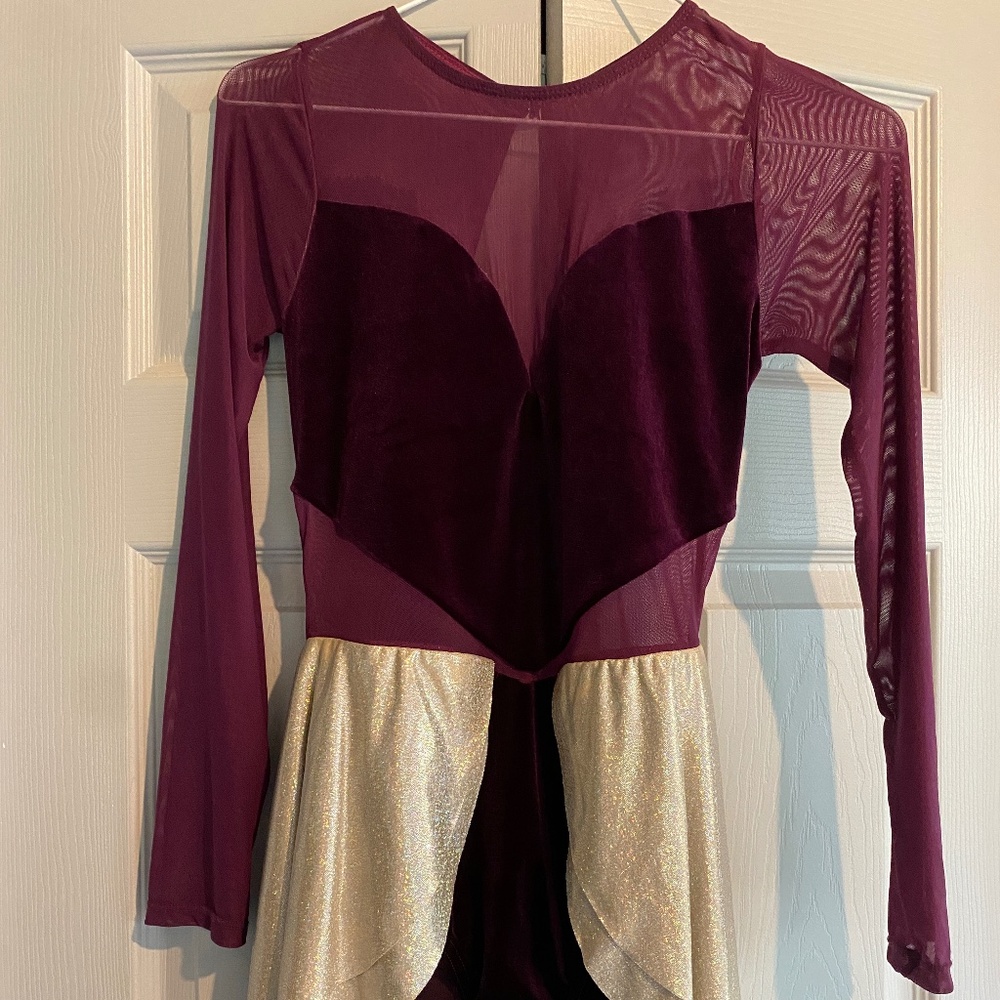 Adult Lyrical Dance Costume - image 1